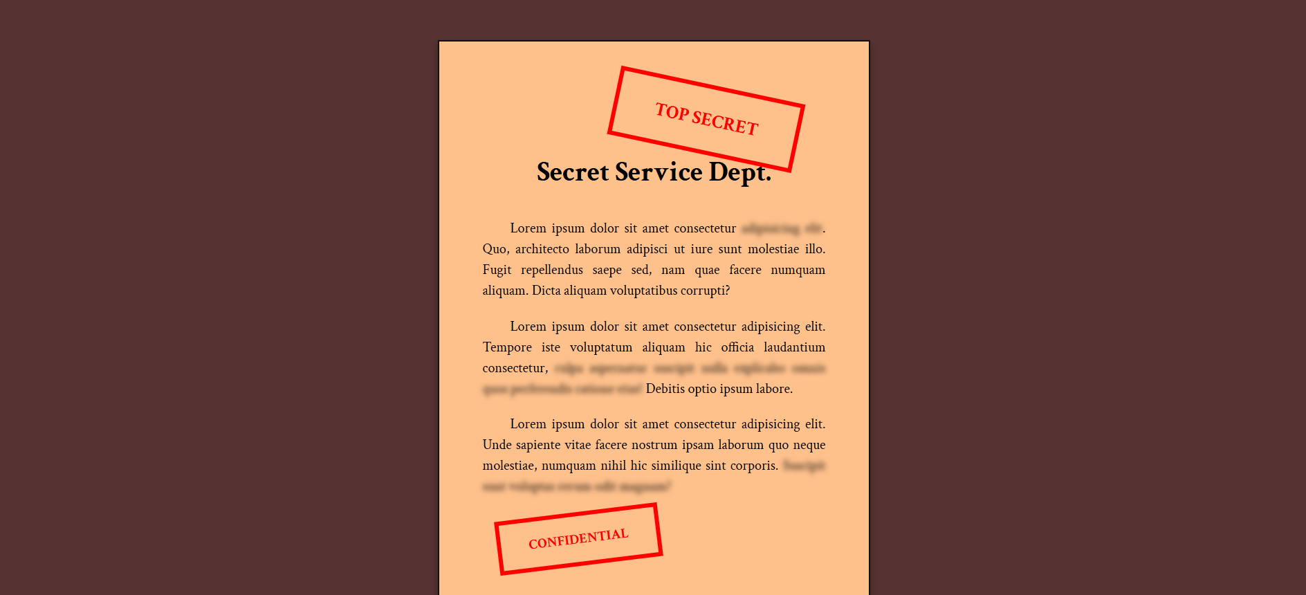 Screenshot of the confidential image page.